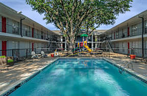 A large tree is in the middle of a swimming pool.