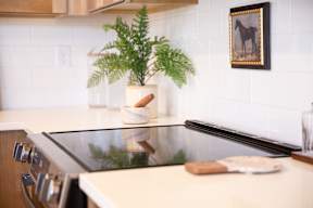 A kitchen counter with a glass top and a plant in a vase.