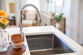 A kitchen sink with a chrome faucet and a bowl of food on the counter.