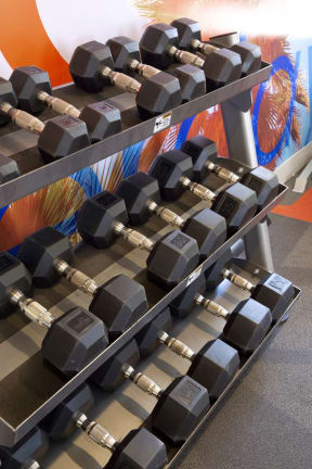 Dumbbells in a Gym at The Julia Apartments, Mesa, AZ