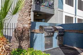A patio with a grill and a palm tree.