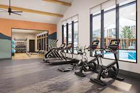 A gym with treadmills and exercise equipment.