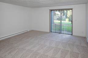 A room with a carpeted floor and a sliding glass door.
