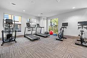 A gym with a variety of equipment including treadmills, stationary bikes, and weight machines.