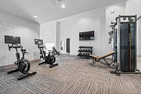A gym with a row of stationary bikes and a squat rack.