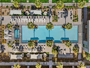 An aerial view of a pool surrounded by palm trees and lounge chairs.