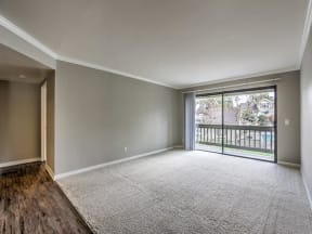 Apartment living room and dining room