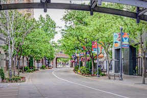 a street in a town with trees and buildings