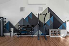A gym with a wall mural of a mountain range and a row of dumbbells.
