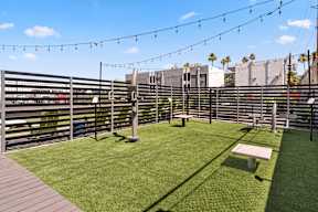 a grassy area with a bench and string lights