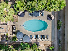 arial view of a swimming pool in a hotel with palm trees