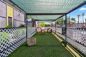 Fenced dog park with agility obstacles at Crosstown Phoenix apartments.