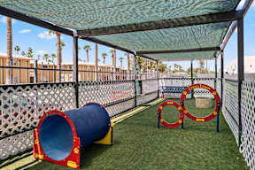 Pet-Friendly Apartments In Phoenix, AZ - Crosstown Phoenix - Gated Dog Park With Grass, A Bench, And Agility Toys.