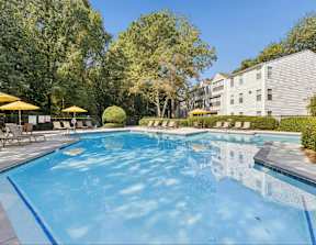 A large swimming pool surrounded by trees and lounge chairs.