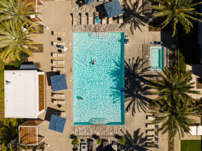 a hotel pool with people in it and umbrellas and palm trees