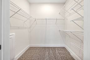 Empty walk-in closet with shelves and carpeted floor.