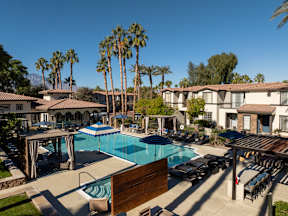 A swimming pool surrounded by palm trees and sun loungers.