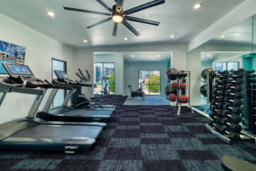 a home gym with treadmills and weights