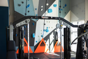 a climbing gym with a rock climbing wall