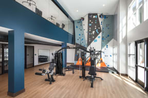 a gym with exercise equipment and a rock climbing wall