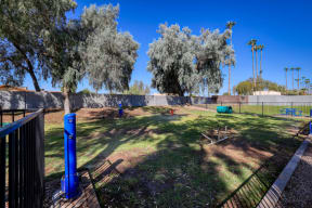 Open Grass Area at The Julia Apartments, Arizona