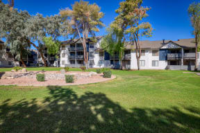 Lawn Area at The Julia Apartments, Arizona, 85210