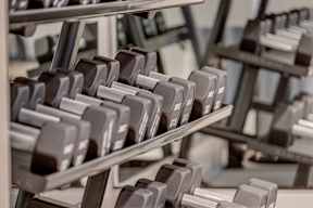 A set of dumbbells are arranged on a rack.
