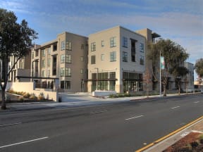 Mountain View, CA Apartments - mResidences Mountain View - Light Tan Building Exterior, Streetview with Tree-lined block