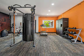 Apartment in Avondale with a gym with a cable machine and free weights at Newport.