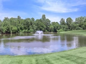 a fountain in the middle of a pond