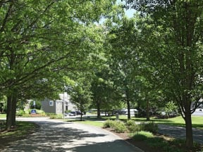 a tree lined street in a neighborhood with trees