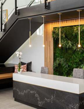 Reception area at Alta Davis, Durham, North Carolina