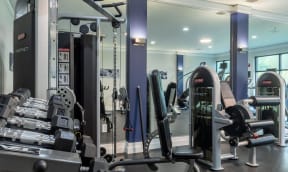 a gym with weights and cardio equipment in a hotel gym