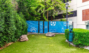 a garden with grass and rocks and a blue fence