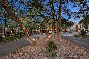 A tree-lined street with a path in the middle.
