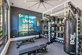 A gym with a punching bag and weights.