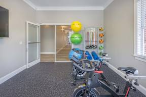 A room with a stationary bike and exercise equipment.