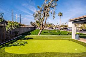 A green lawn in the middle of a sunny day.