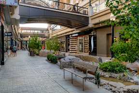 A shopping mall with a bench and plants.