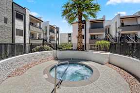 A small pool surrounded by a concrete border with a palm tree in the background.