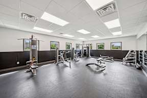 A spacious gym with a variety of equipment.