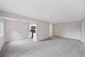 A room with a grey carpet and white walls.