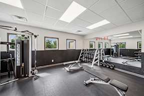 A gym with a variety of equipment including a squat rack, bench, and weights.