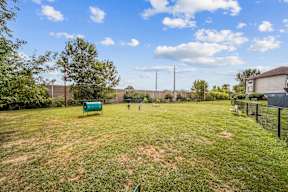 A green bench sits in a grassy field with a fence in the background.