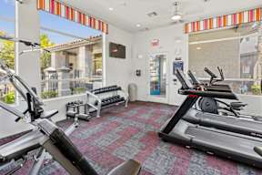 A gym with treadmills, weights and exercise equipment.