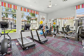 A gym with treadmills, exercise bikes, and other equipment.