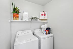 A small laundry room with a washer and dryer and a shelf above them with a plant, a box of tissues, and a painting of a flamingo.