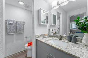 A bathroom with a toilet, sink, mirror, and a potted plant.