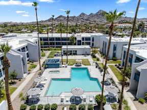 Pool with palm trees at The Halifax apartments in Phoenix, AZ.