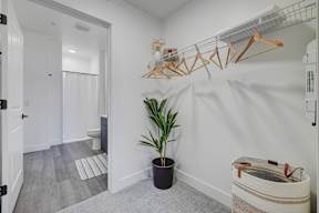 A room with a potted plant, a coat rack, and a rug.